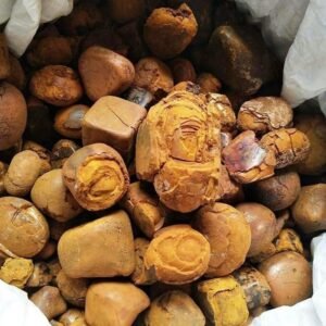 CALCULUS BOVIS | NIU-HUANG | OX GALLSTONES